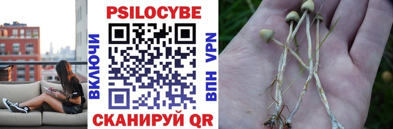 Галлюциногенные грибы Psilocybe  Купить закладки  Красково 